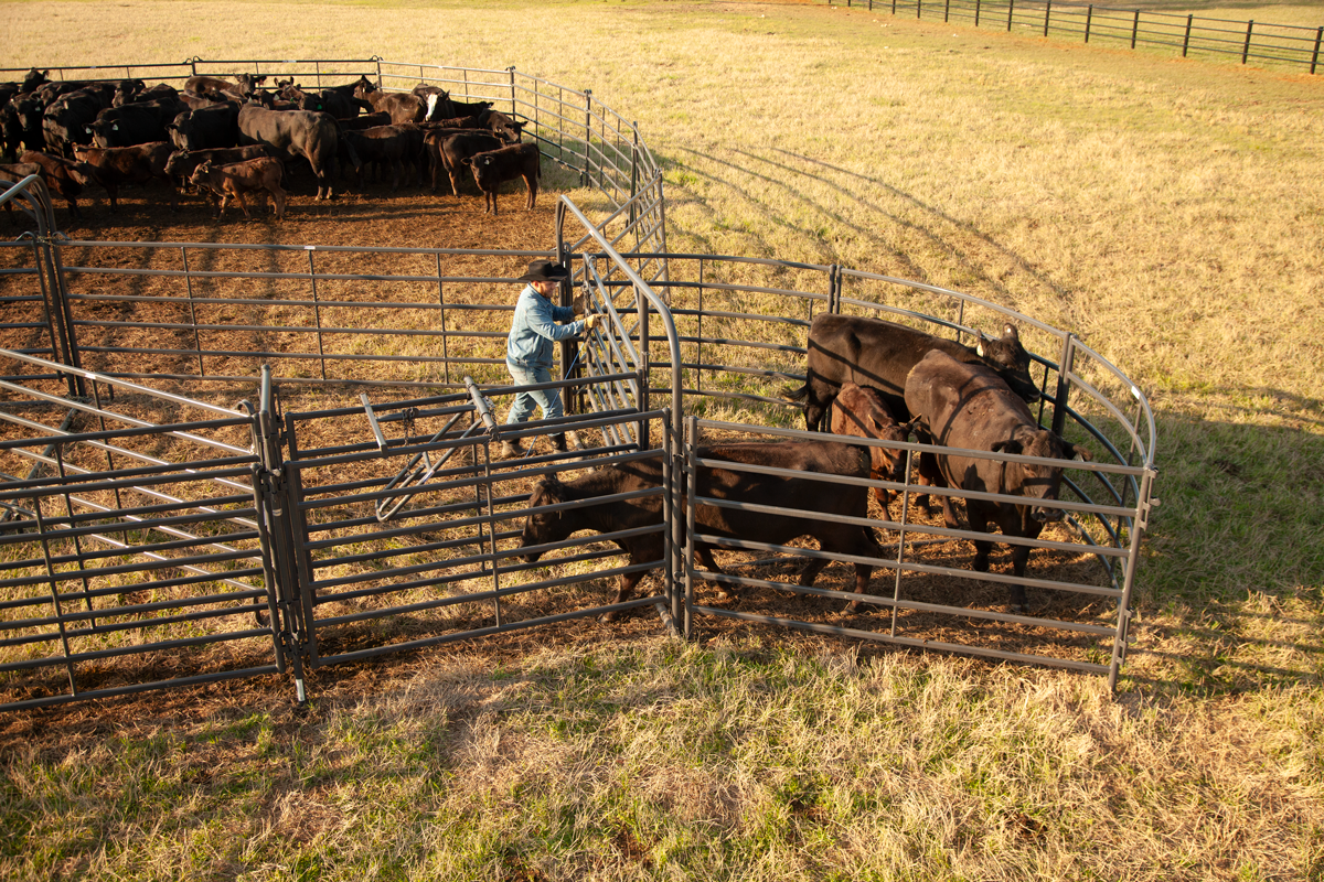 Priefert Premier Open Sweep Corral IMG 0196.png